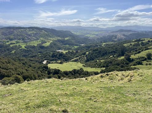 1050 Ellis Wallace Road, Eskdale
