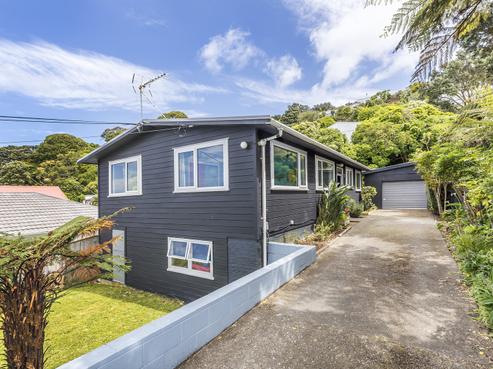 12 Mccoll Street, Vogeltown