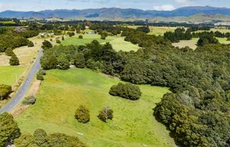 Lot 1, 296 Mill Road, Ashley Clinton