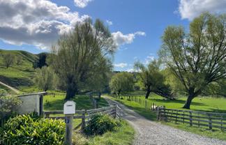 37 Waikakahi Road Pongaroa, Pongaroa