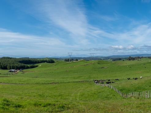 5 Hingarae Road, Lake Taupo (West)