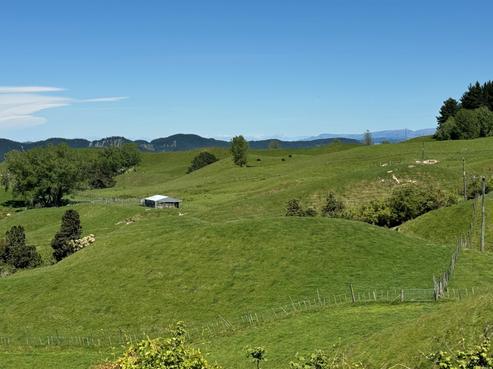 2083 Cricklewood Road, Raupunga