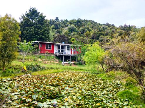 390 Paranui-toatoa Road, Taipa