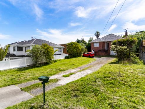 3 Commodore Drive, Mount Roskill