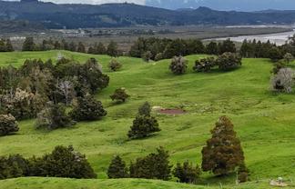 2895 State Highway 1, Umawera