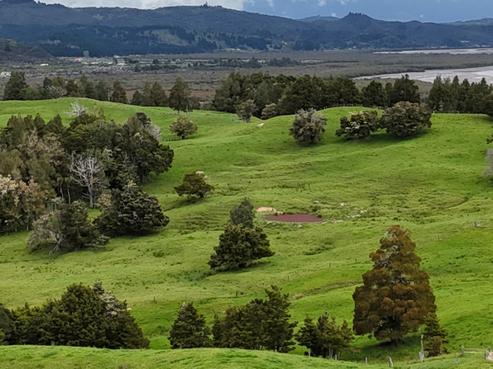 2895 State Highway 1, Mangamuka
