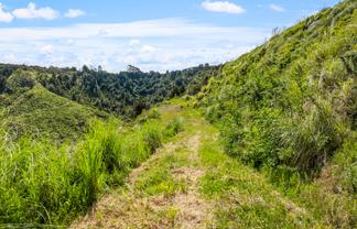 709 Ahuroa Road, Puhoi