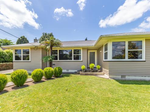 17 Hobson Street, Levin