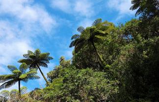 1216 Wekaweka Road, Omapere