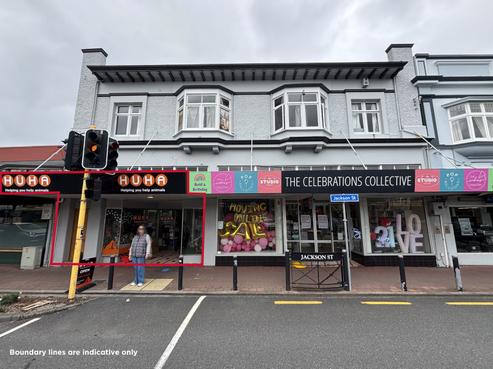 262 Jackson Street, Petone