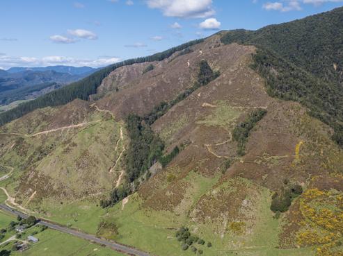2051 Shenandoah Highway, Murchison