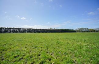 95B Wallacetown Lorneville Highway, Lorneville