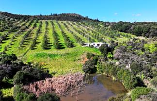 105 Frantoio Ridge Road, Mangonui
