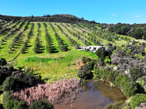 105 Frantoio Ridge Road, Mangonui