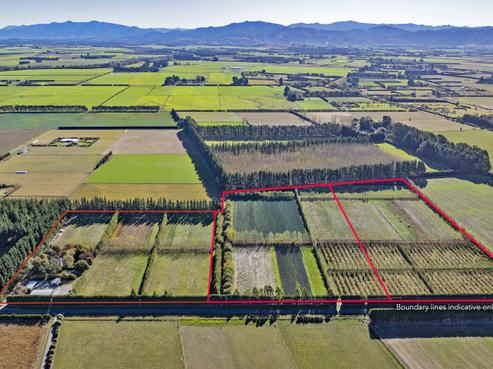 599 Pesters Road, West Eyreton