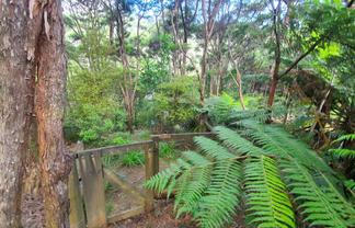 34 Schoolhouse Bay Road, Kawau Island