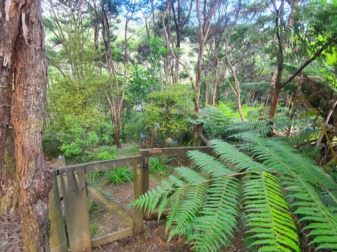 34 Schoolhouse Bay Road, Kawau Island