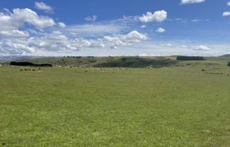 2805 Macraes Road, Moonlight