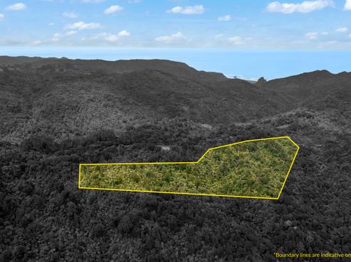 237 Piha Road, Piha
