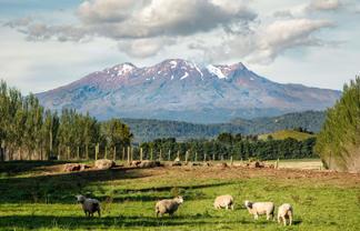 329 Raetihi Ohakune Road Lot 2, Ohakune