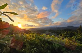 Pacific Islands - Address withheld