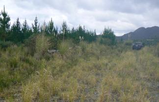 Lot 45 Iwitaua Road, Mangamuka