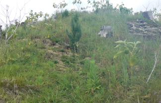 LOT 6 Iwitaua Road, Mangamuka