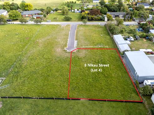 8 Nikau Street, Pleasant Point