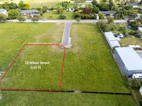 10 Nikau Street, Pleasant Point