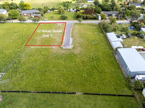 12 Nikau Street, Pleasant Point