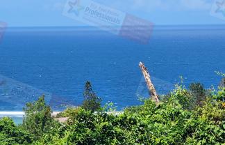 Pacific Islands - Address withheld