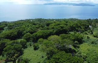 Pacific Islands - Address withheld