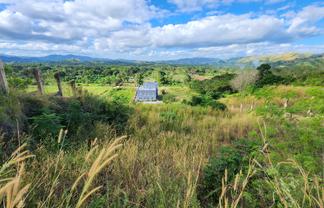 COMMERCIAL - HOMES, OFFICES, INVENTORY & VEHICLES