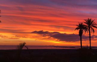 Pacific Islands - Address withheld