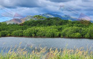 Pacific Islands - Address withheld