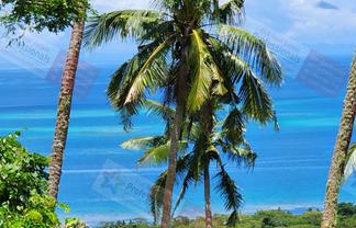 Pacific Islands - Address withheld