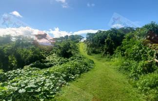 Pacific Islands - Address withheld