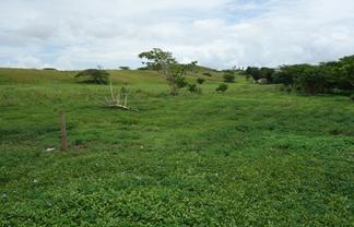 Pacific Islands - Address withheld