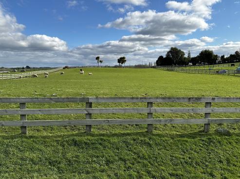 245B Baird Road, Tokoroa