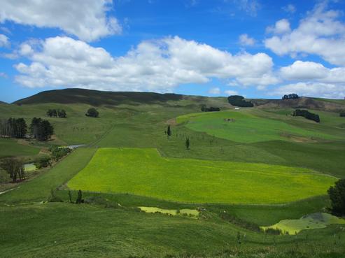 241 Hinerangi Road, Waipukurau and Surrounds