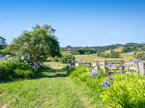 211 Stoney Creek Road, Kaukapakapa