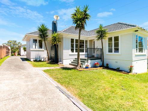 22 White Swan Road, Mount Roskill