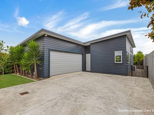 24 Rangitira Avenue, Palmerston North Central