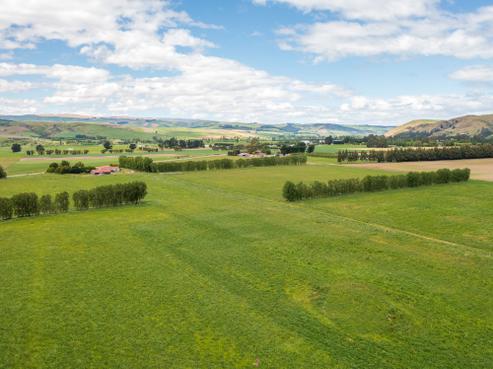 51 Duncan Road, Ettrick
