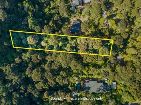 19 Hayes Road, Henderson Valley