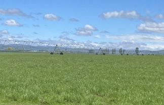 224 Auripo Road, Poolburn