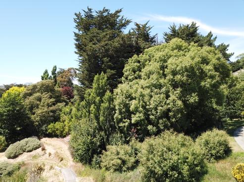 1 Oxford Street, Waikari
