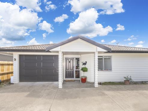66A Totara Street, Tawhero