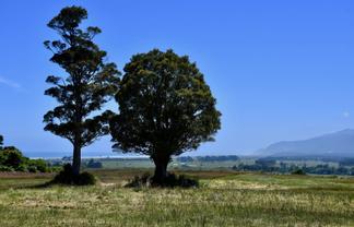 Lot 5 South Terrace Road, Karamea
