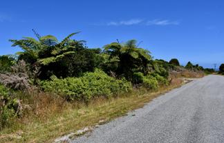 Lot 10 South Terrace Road, Karamea